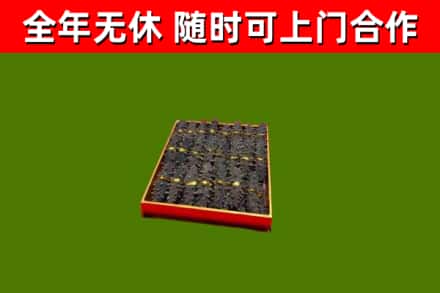 普兰回收海参